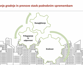 Prilagajanje gradnje in prenove stavb podnebnim spremembam: Razogljičenje - Krožnost – Odpornost