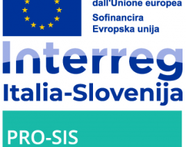 PRO-SIS: RAZVOJ IN DISEMINACIJA POSTOPKOV ZA PROJEKTIRANJE INOVATIVNEGA NAČINA POTRESNEGA UTRJEVANJA OBSTOJEČIH ZIDANIH STAVB 